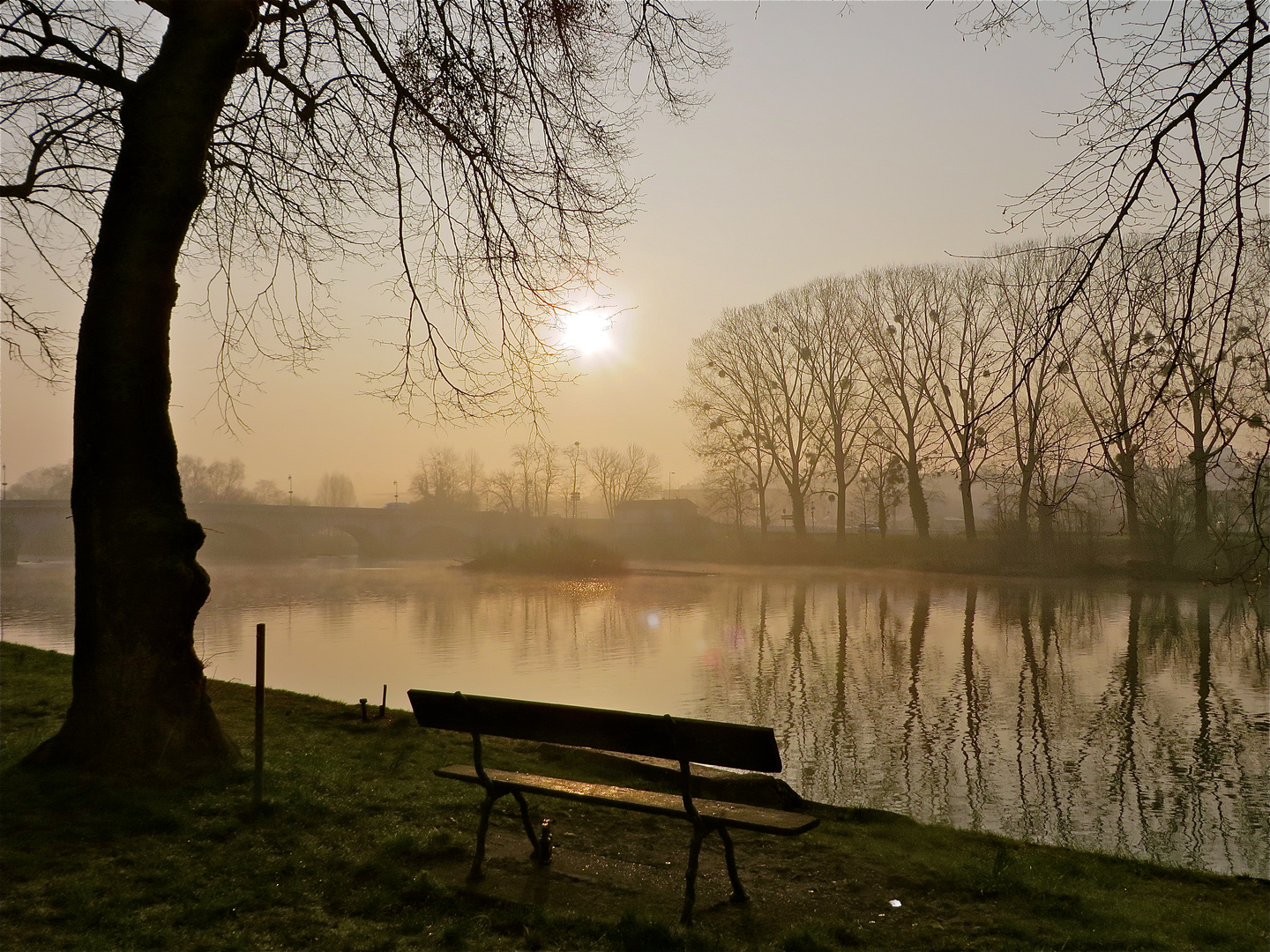 ... Platz an der Sonne !!!..