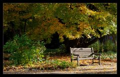 Platz an der Sonne