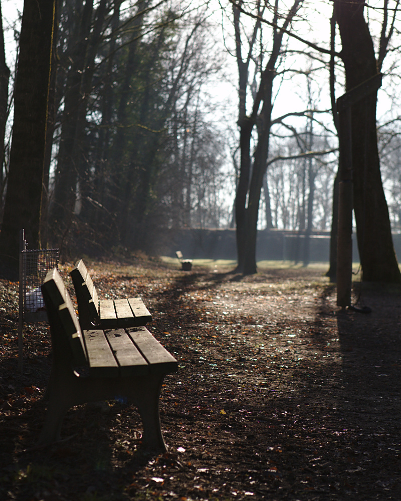 Platz an der Sonne