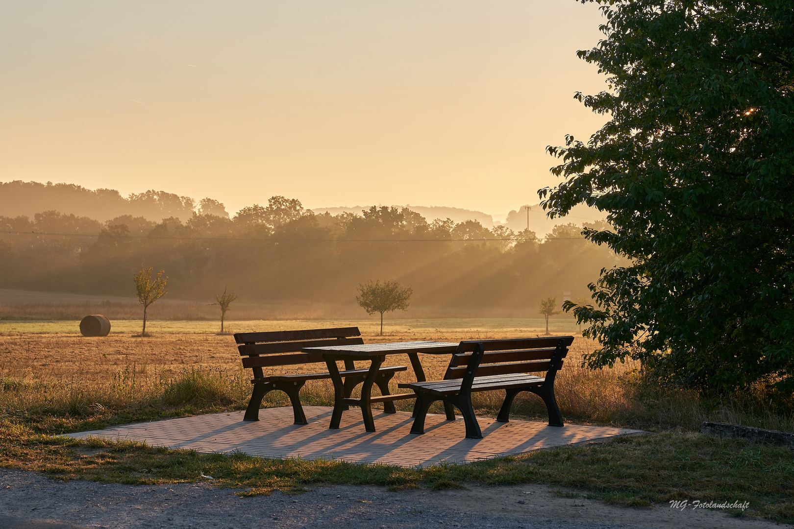 Platz an der Sonne