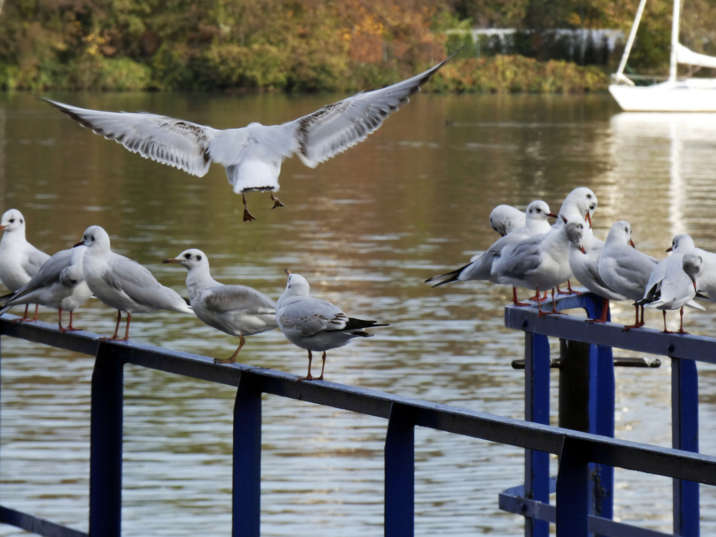 "Platz da!"