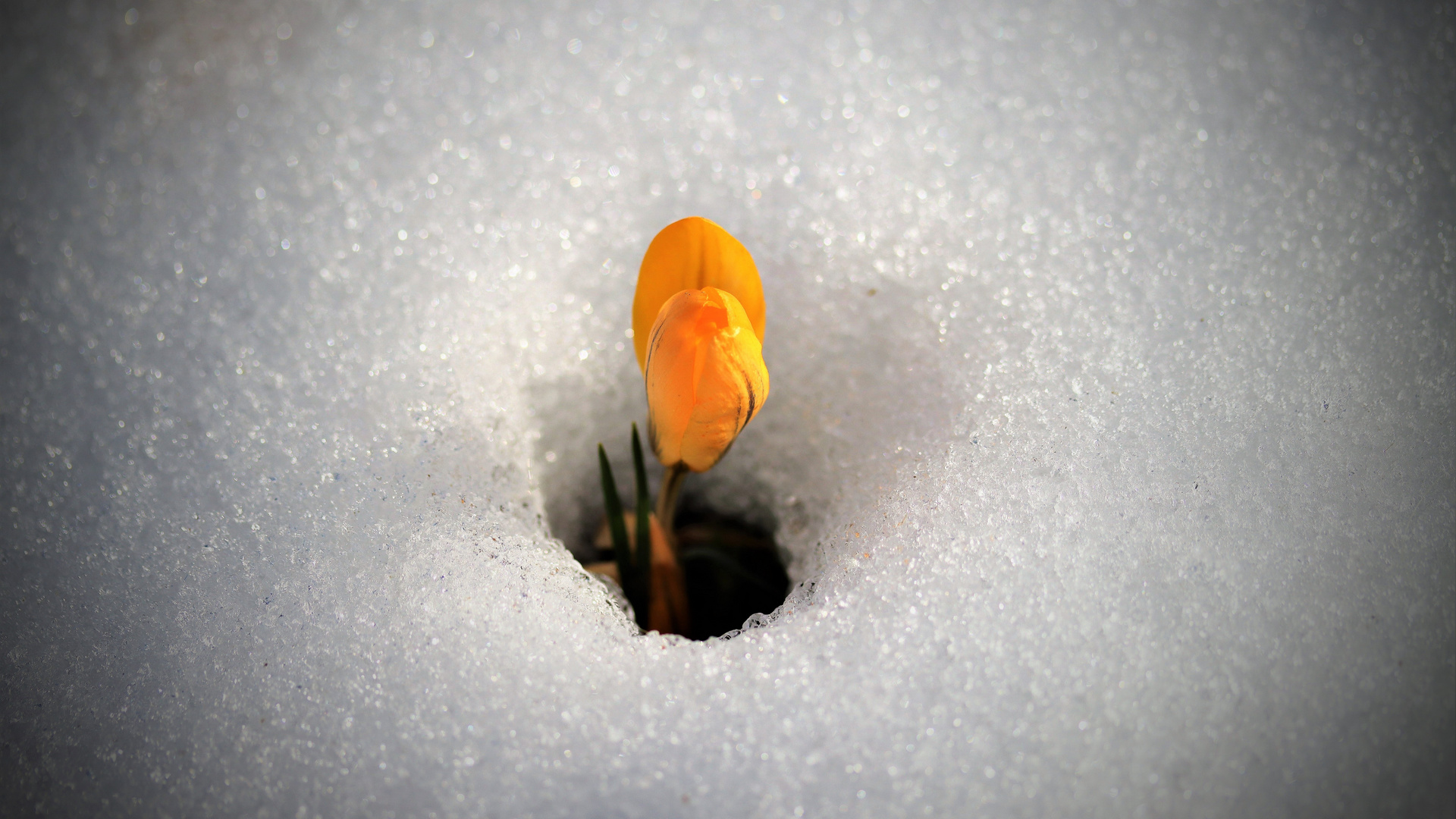 Platz da! ..für den Frühling