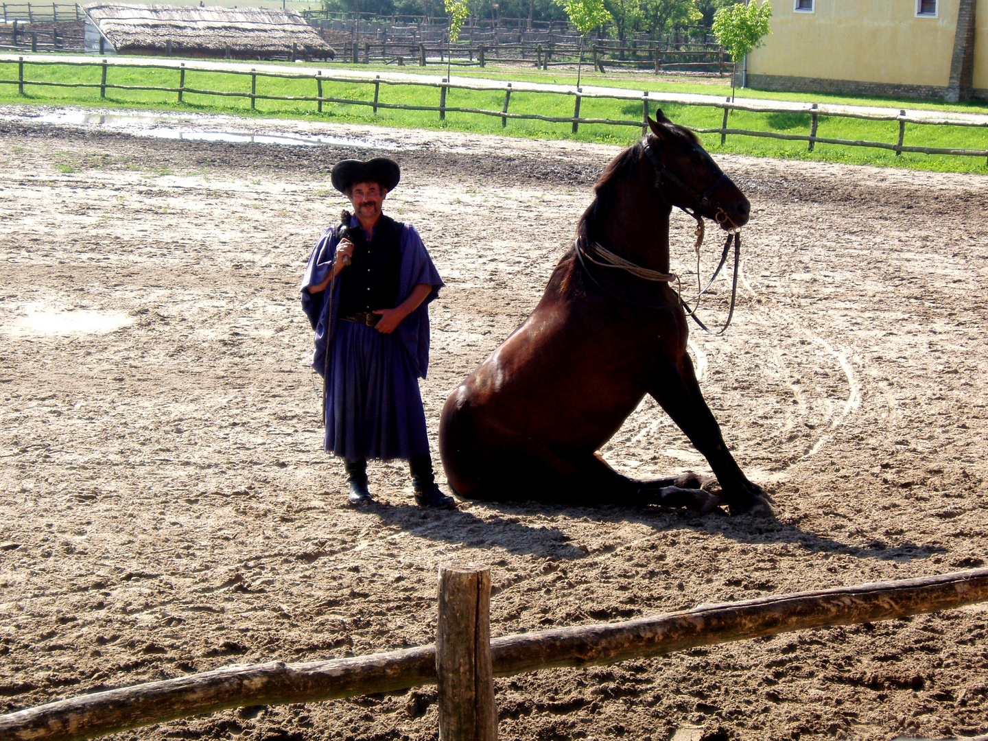 Platz da! ...und da sagte das Pferd "ich wäre lieber ein Hund geworden!"