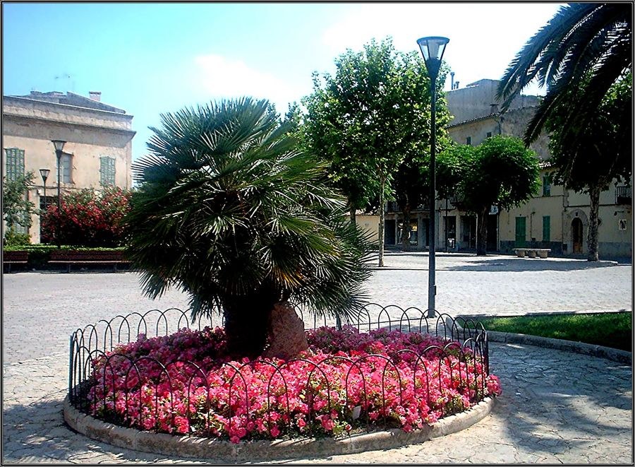 platz in alcúdia