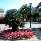 platz in alcúdia