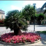 platz in alcúdia