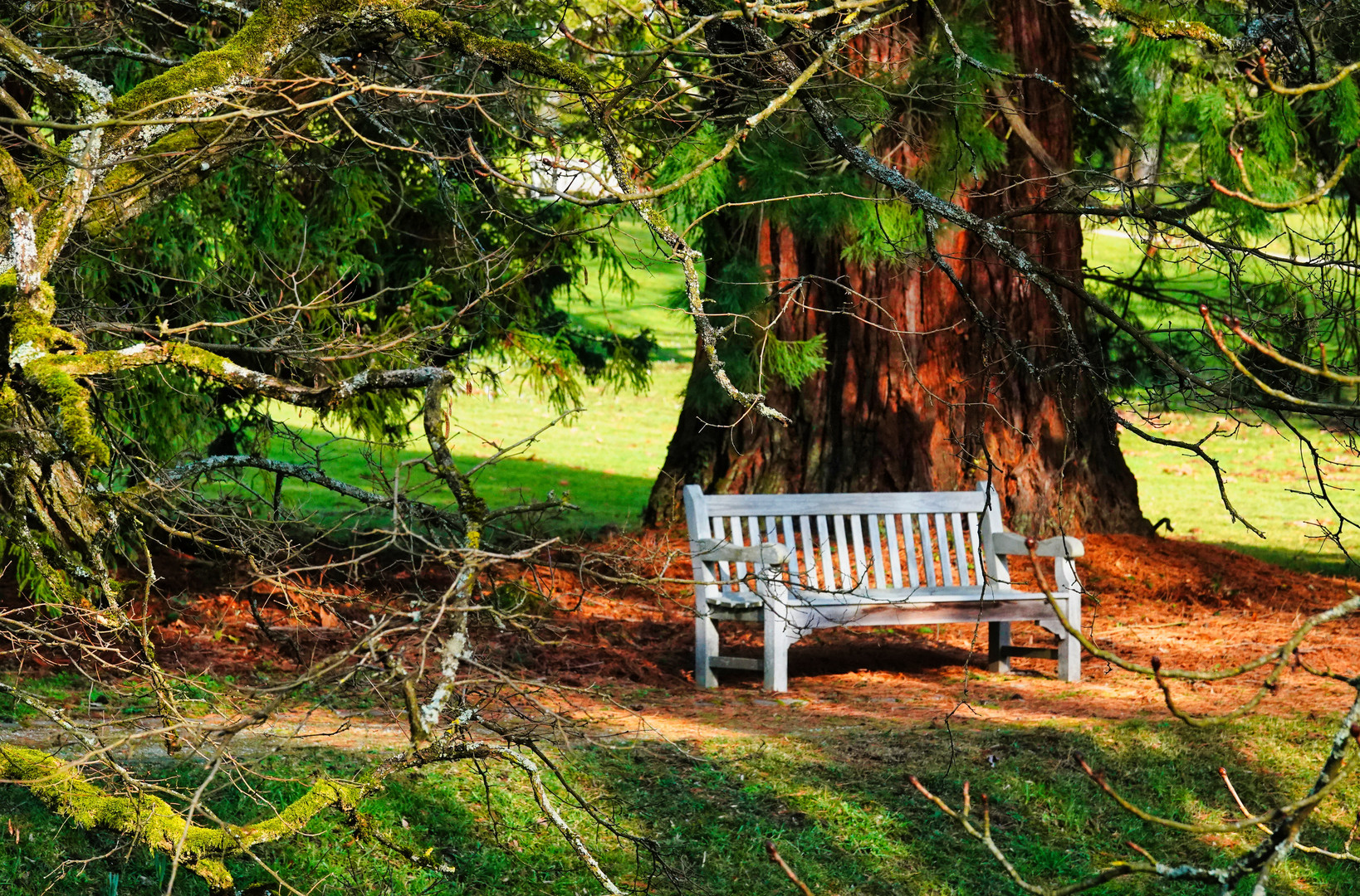 Platz in der Sonne 