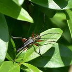 Platz ist auf dem kleinsten Blatt