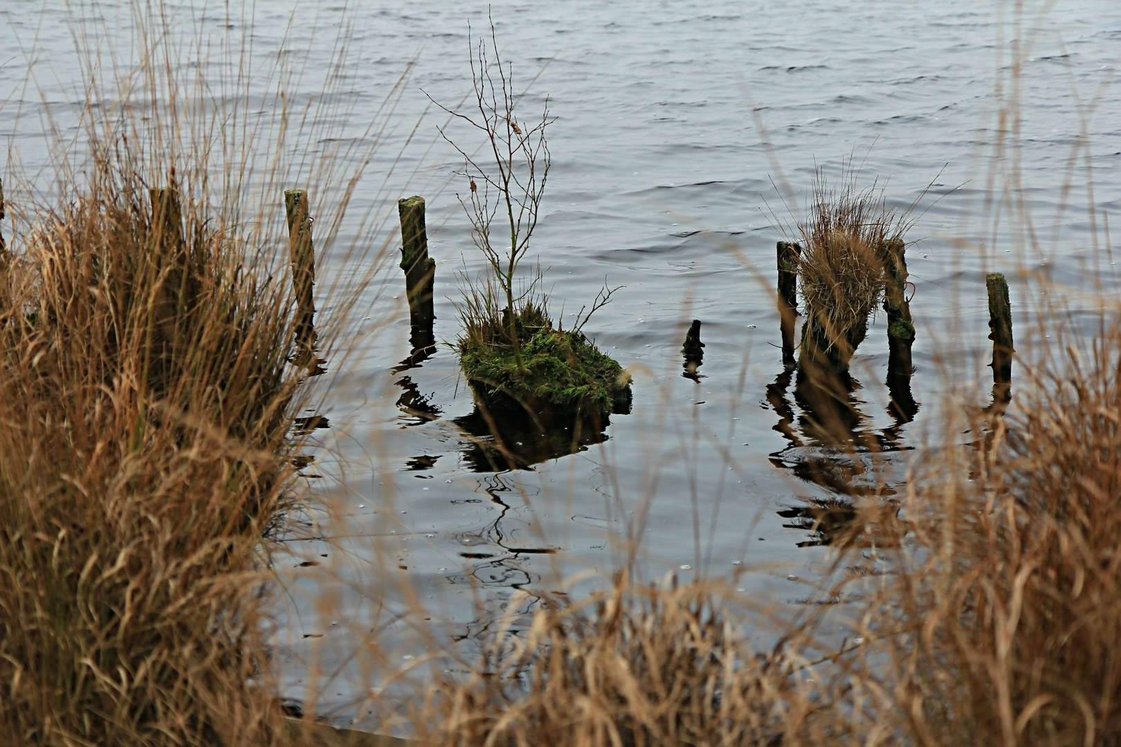 Platz ist auf der kleinsten Insel