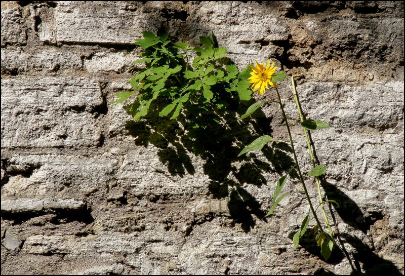 Platz ist in der kleinsten Fuge, ...