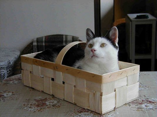 Platz ist in der kleinsten Hütte