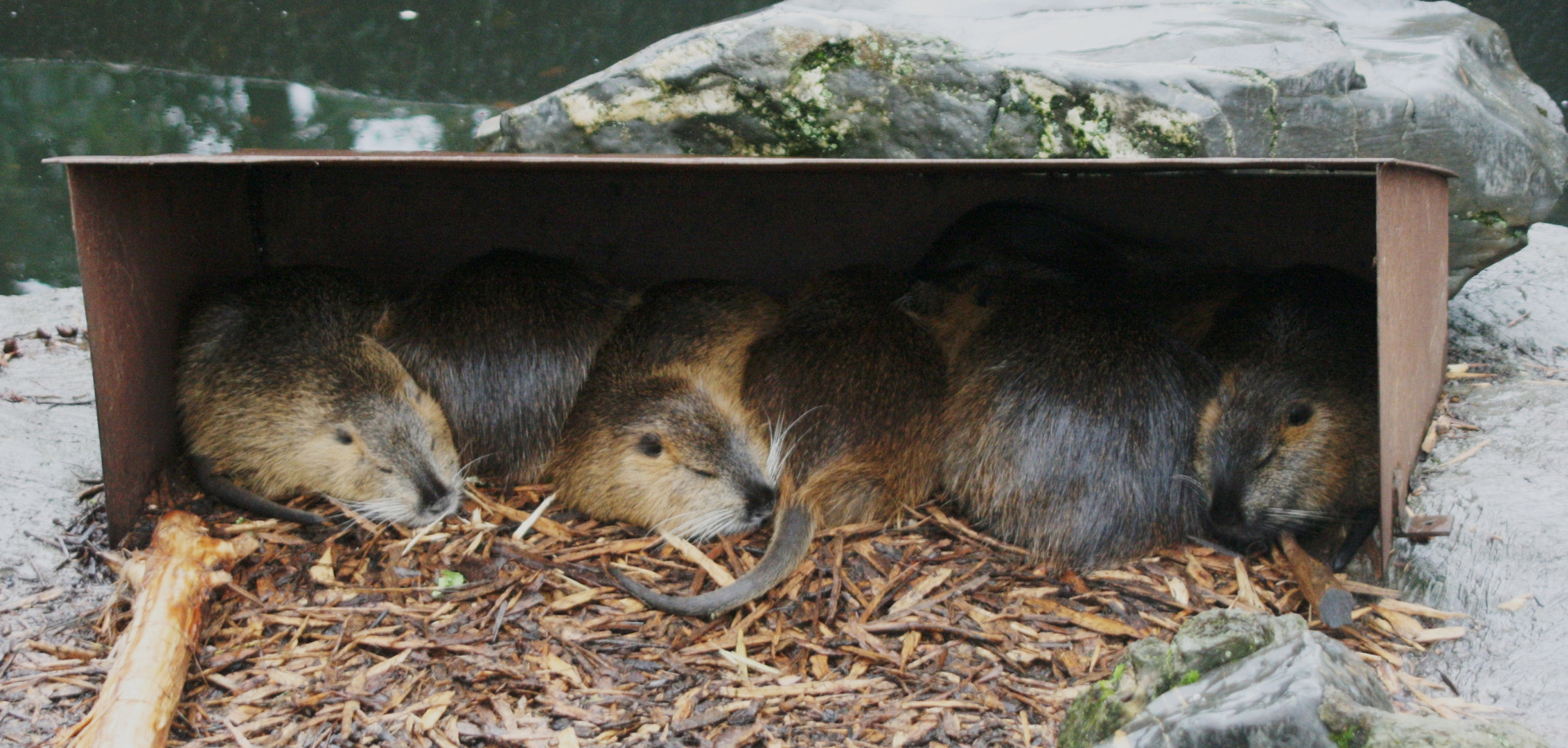 Platz ist in der kleinsten Hütte.....