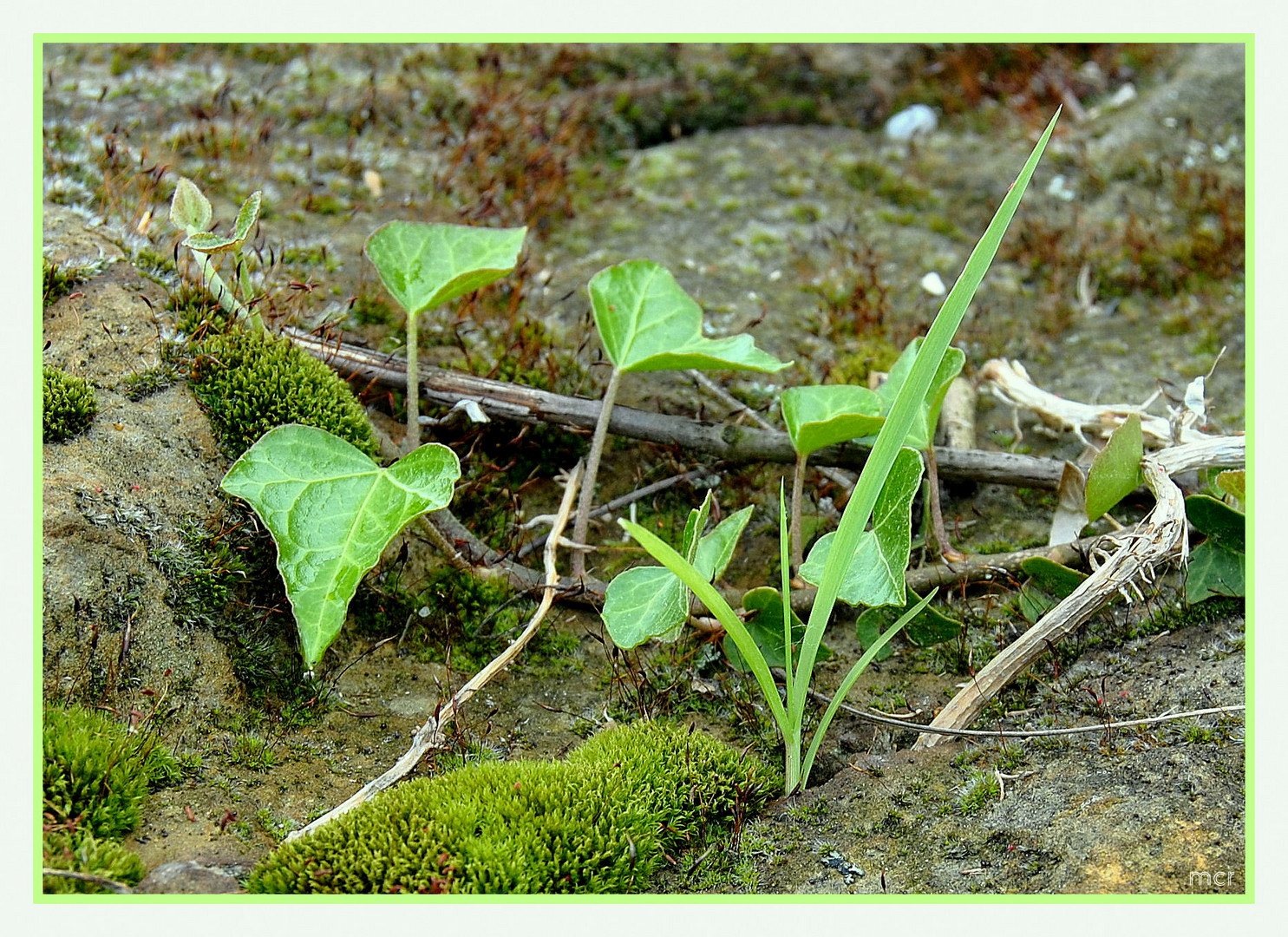 Platz ist in der kleinsten Ritze (3)