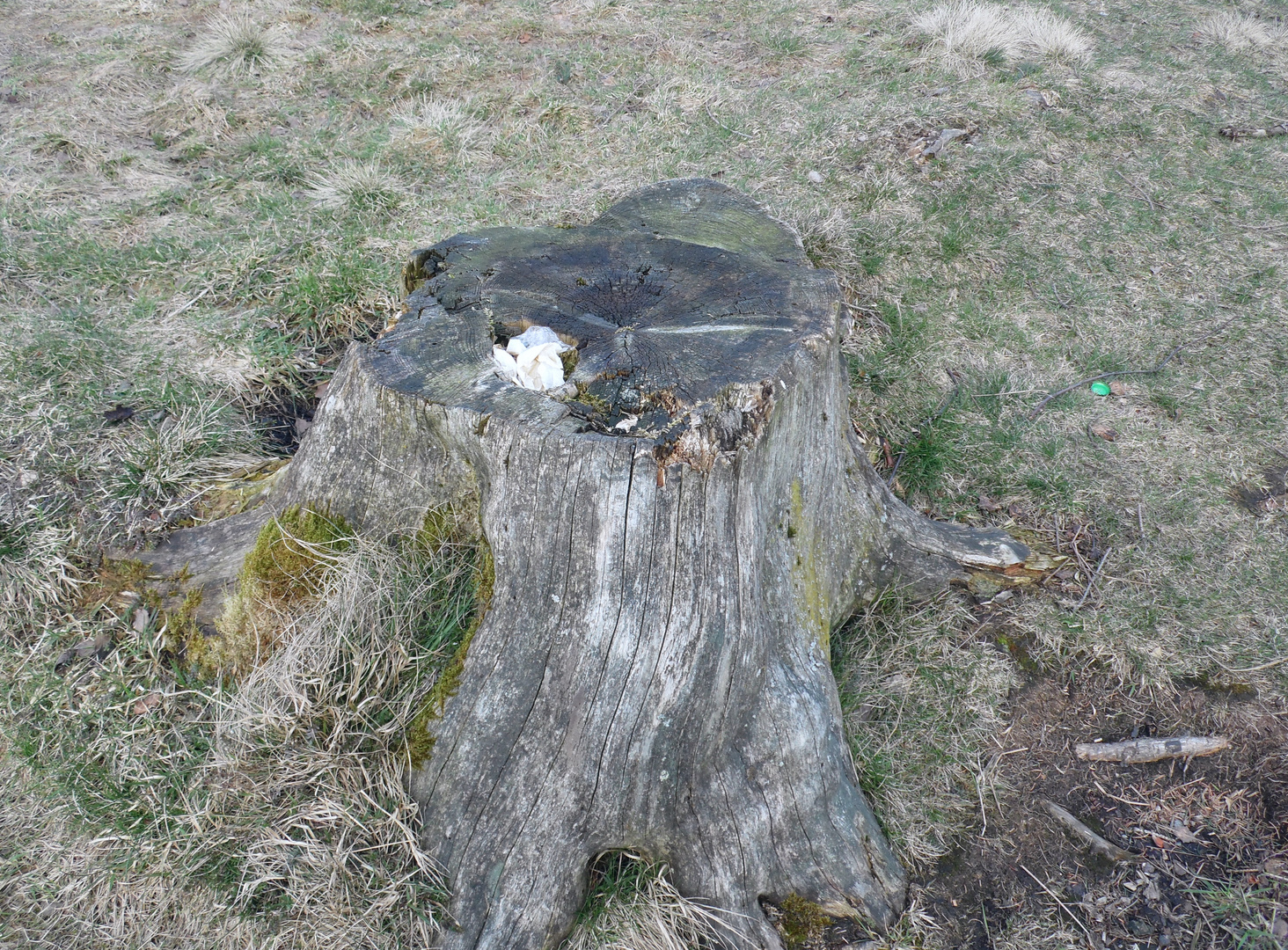 Platz ist in der kleinsten Ritze, nur nicht in der eigenen Tasche.