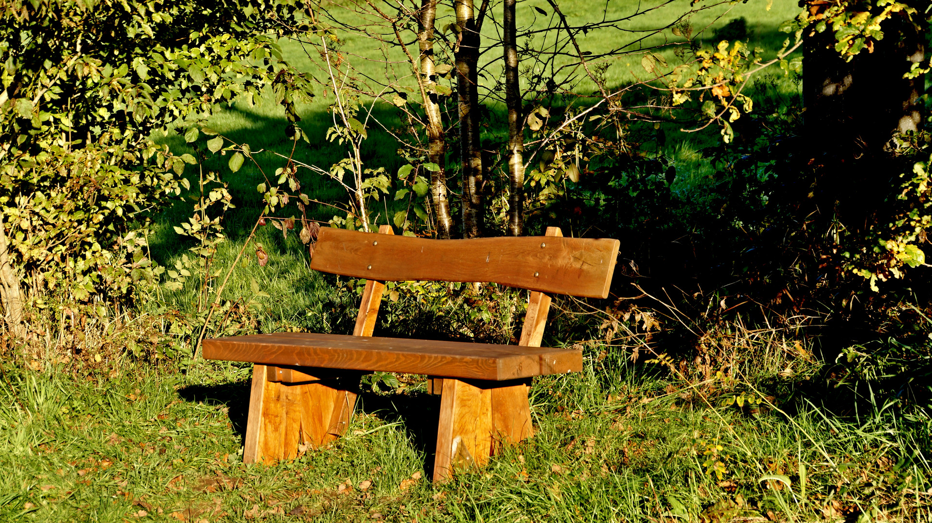 Platz zum Genießen der Herbstsonne