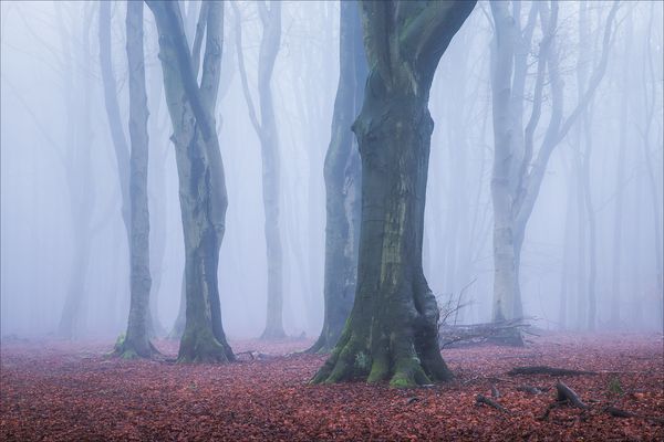 Platzhalter für nen Titel 