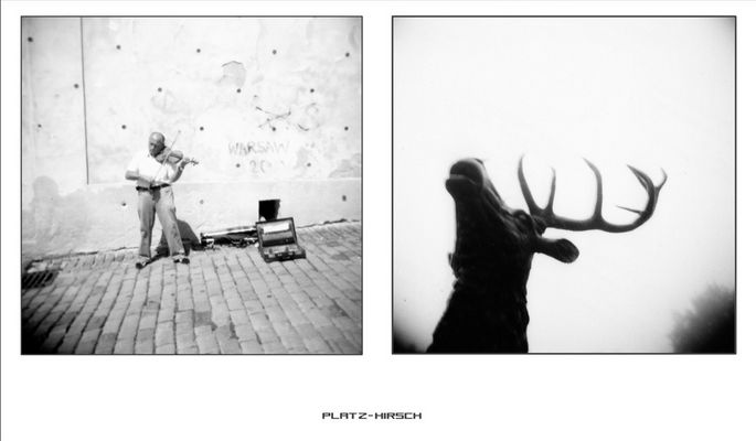 Platzhirsch