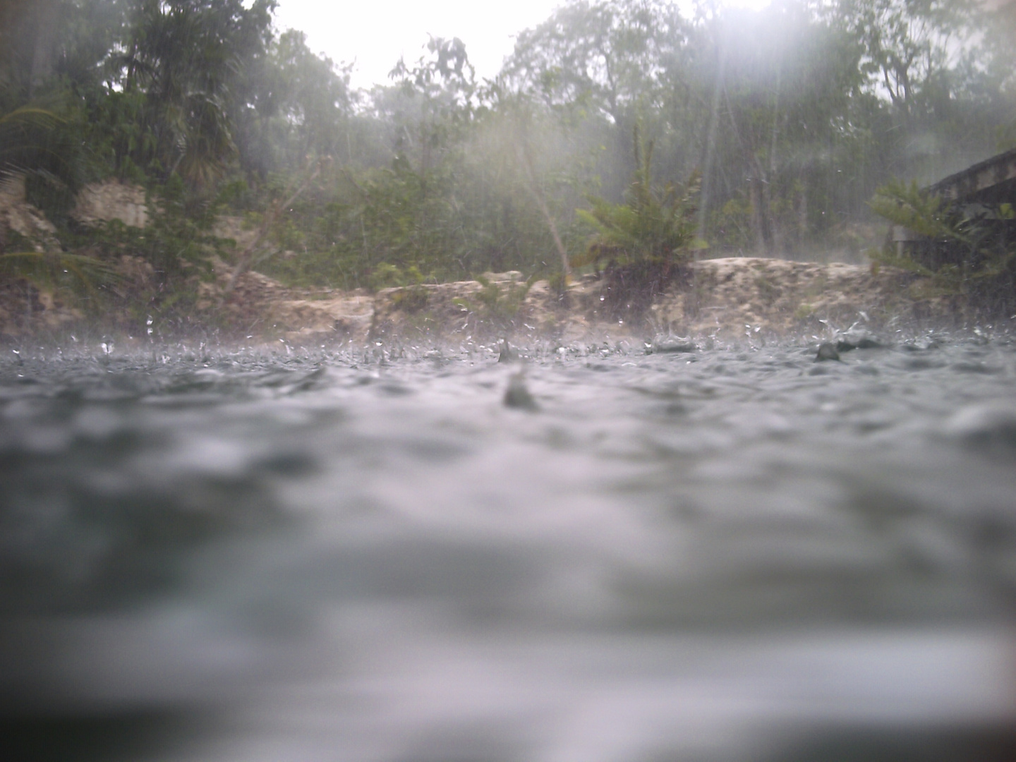 Platzregen beim Schwimmen in einer Cenote auf Yucatan - aus Fischperspektive ;-)