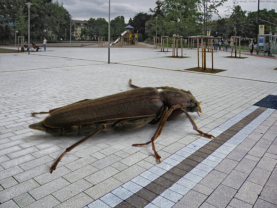 Platzverschwendung