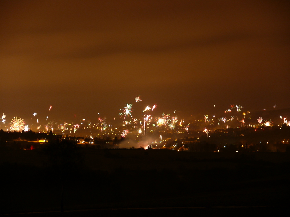 Plauen am 01.01.2008