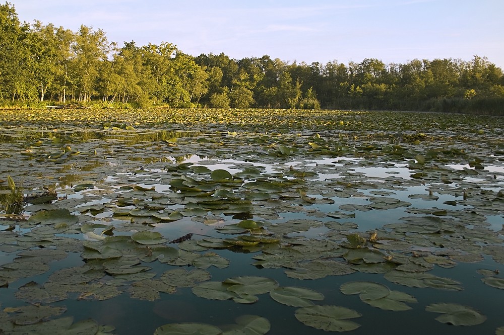 Plauer See- mal ganz anders