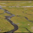 Plaun la Greina, Schweiz Graubünden