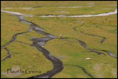 Plaun la Greina, Schweiz Graubünden