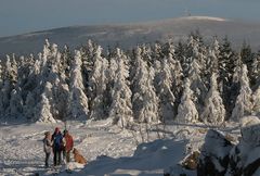 Plausch mit Brocken