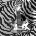 Play it like Zebra