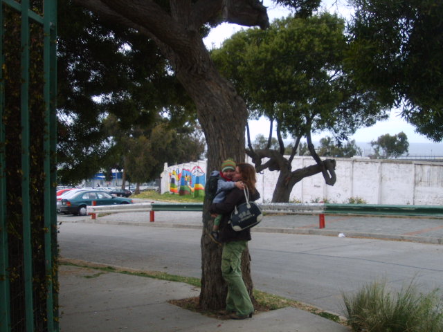 playa ancha universidad