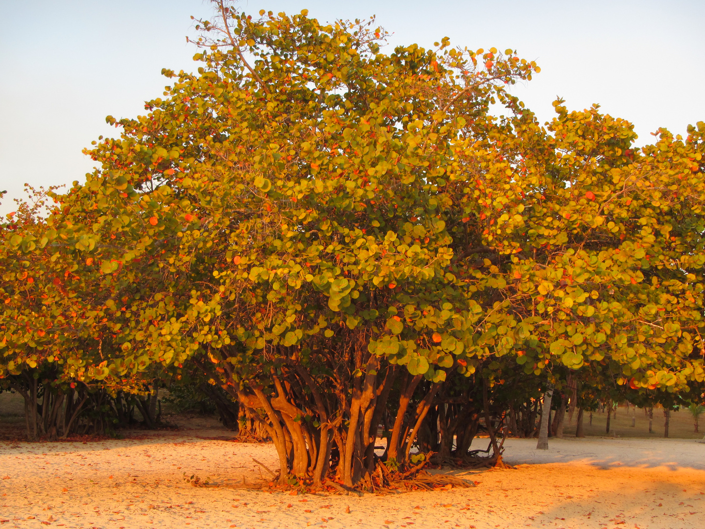 Playa Ancon, Trinidad, Cuba