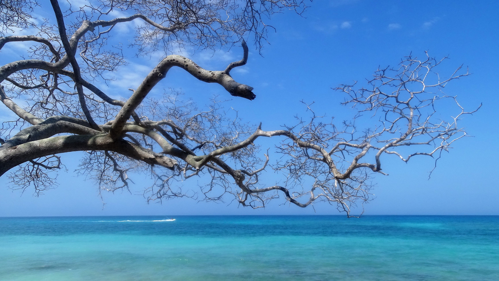 PLAYA BLANCA -BARU