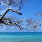 PLAYA BLANCA DE BARU