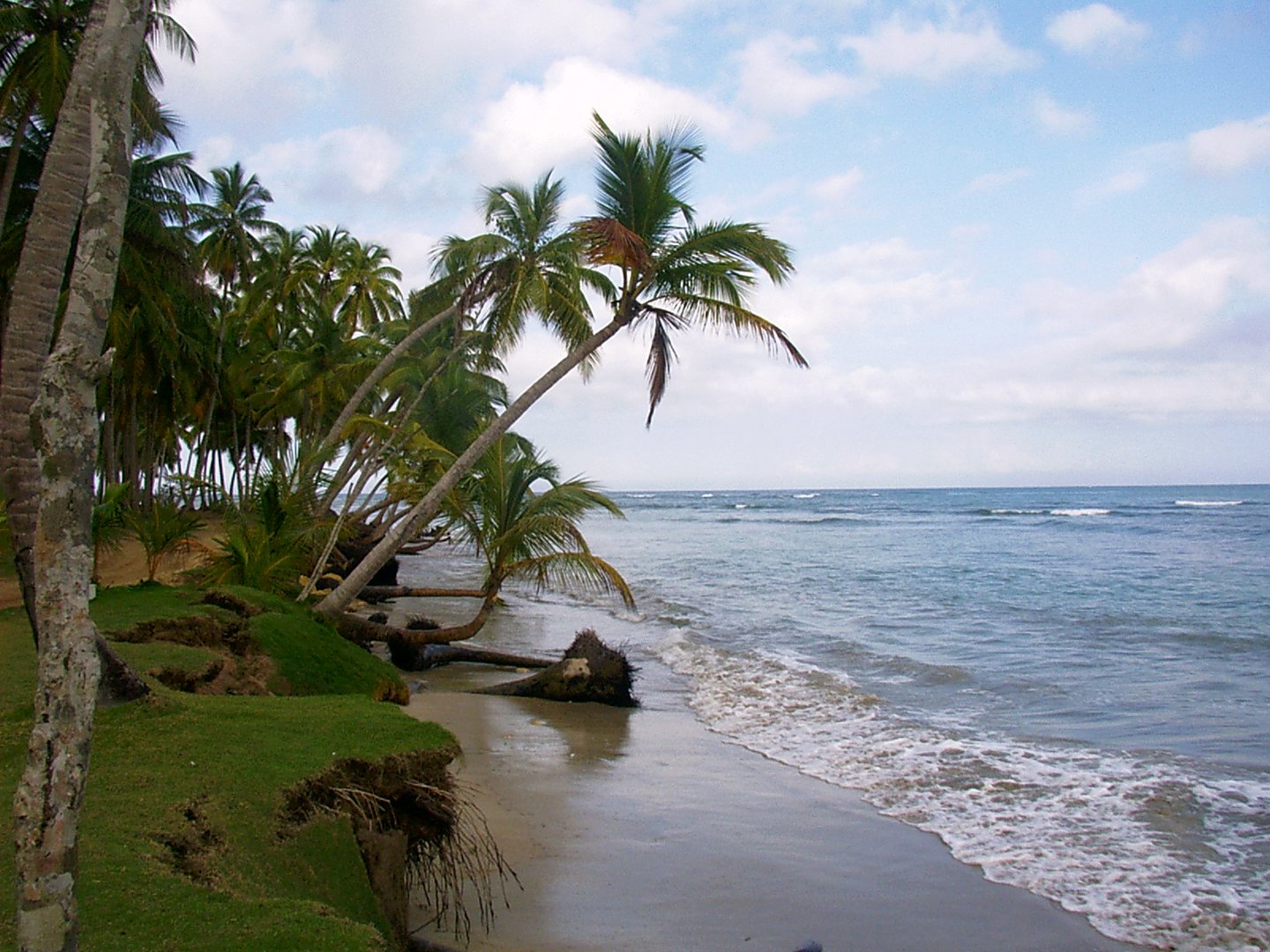 Playa Bonita