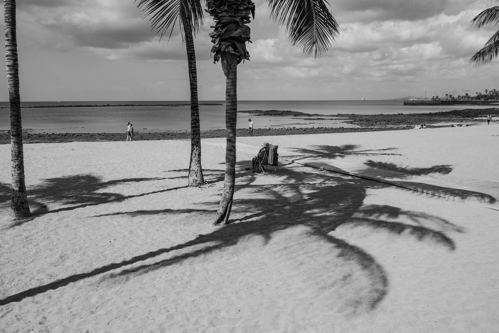 Playa con palmeras