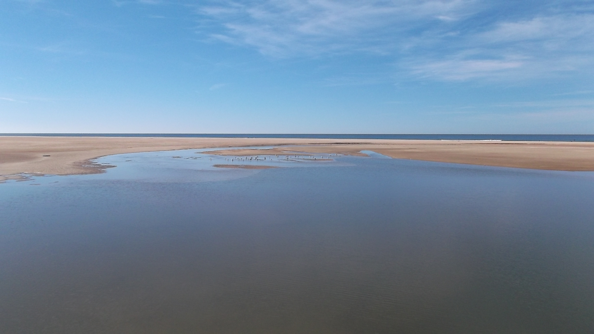 Playa - Conil