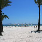 Playa d' Alcudia