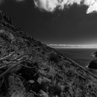 Playa de Avalo