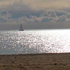 Playa de Barcelona hoy domingo