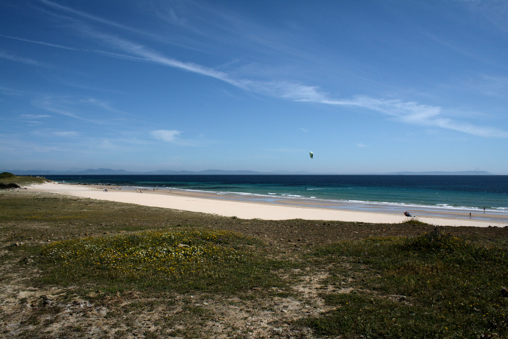 Playa de Bolonia - 2016 (1)