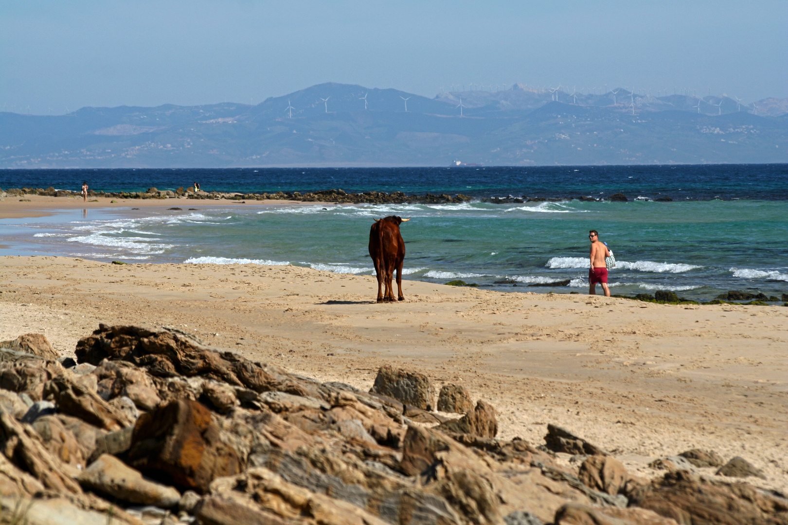 Playa de Bolonia - 2016 (3)