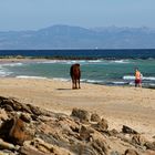 Playa de Bolonia - 2016 (3)