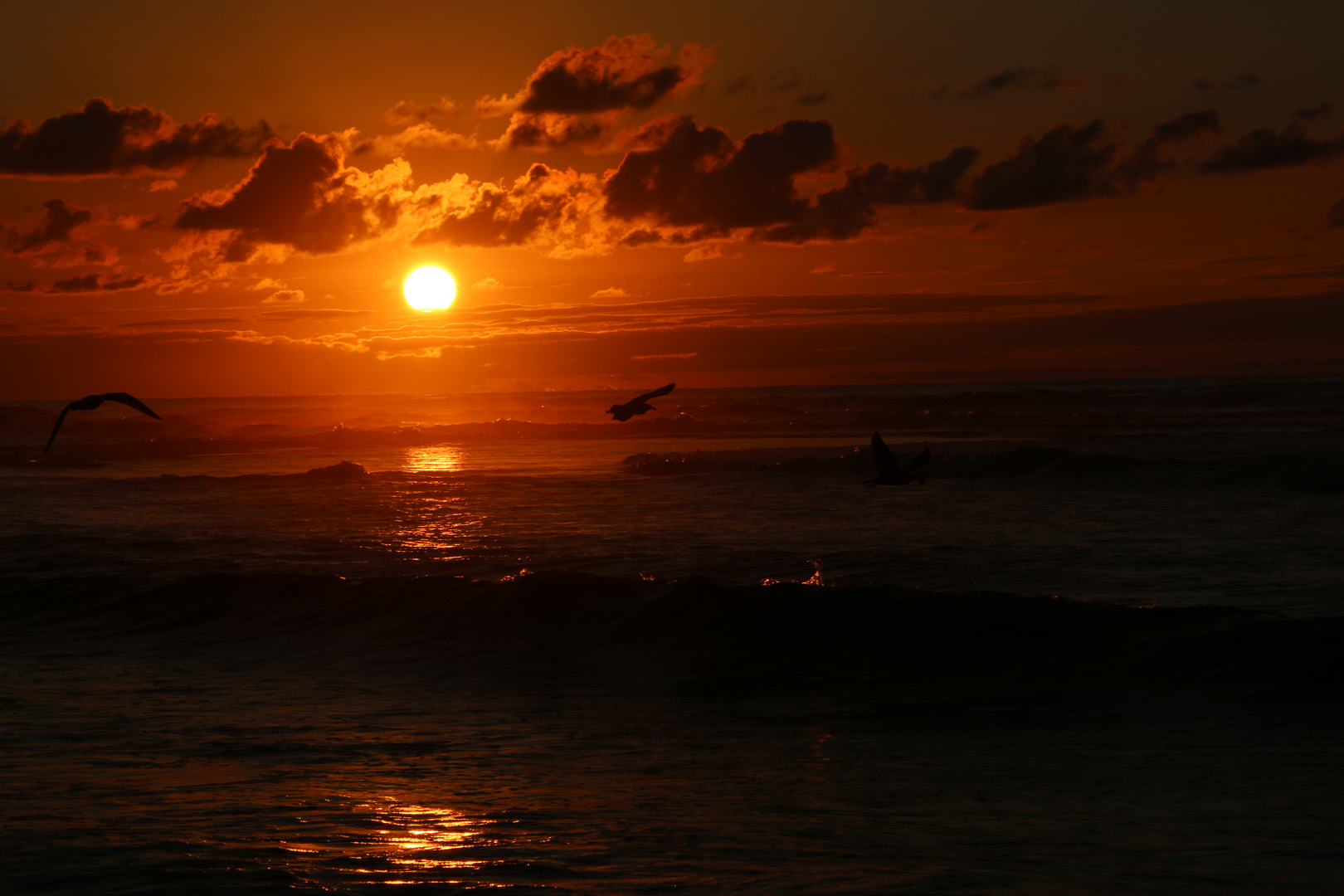 Playa de Cofete ... ´14