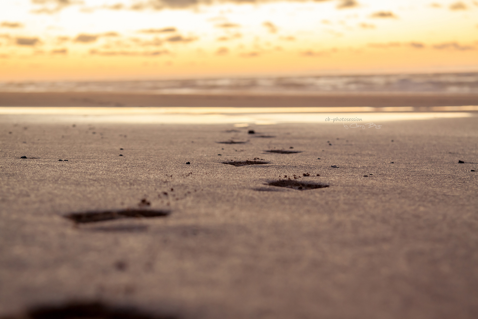 Playa de Cofete