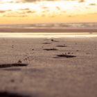 Playa de Cofete