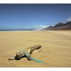 Playa de Cofete