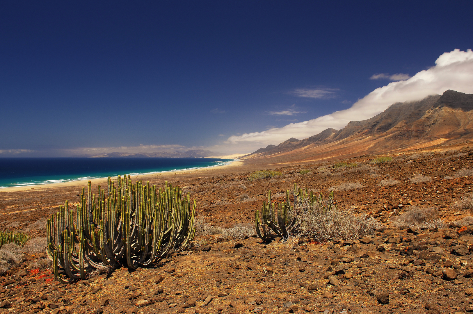 Playa de Cofete