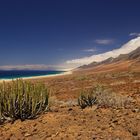 Playa de Cofete