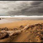 Playa de Cofete - Fuerteventura II