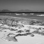 [ Playa de Corralejo ]